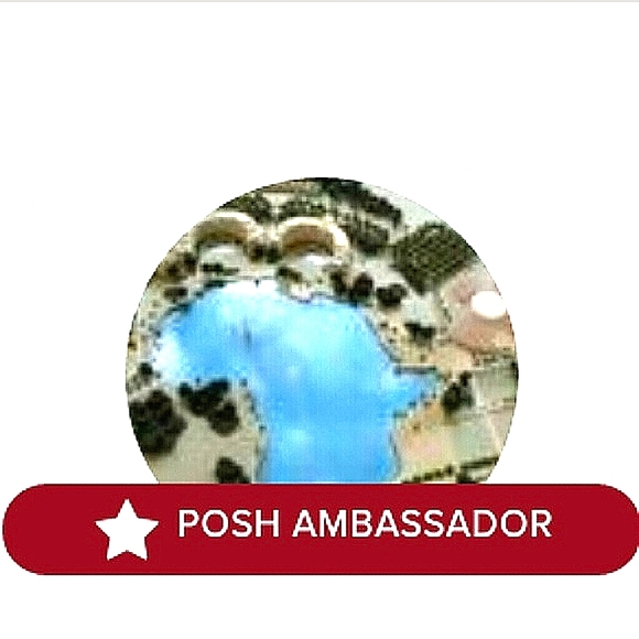 TRUSTED POSH AMBASSADOR ll - Picture 8 of 10